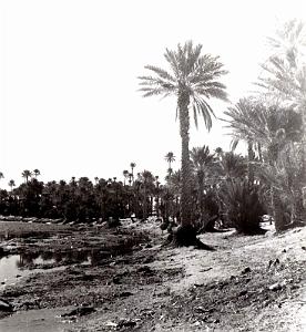 Colomb Bechar 057-collection Monneret